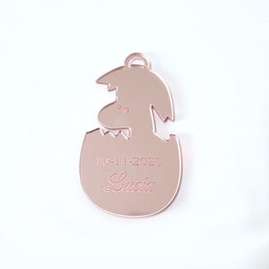 Segnaposto Personalizzato il Plexiglass- Uovo Dinosauro - Data e Nome